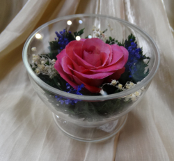 Живые цветы в стекле-129-Живые цветы в стекле SSRp - фото 1
