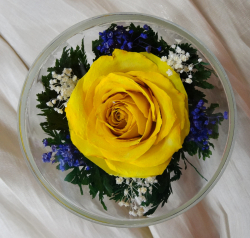 Живые цветы в стекле-129-Сувениры для любимых CuSRy - фото 2