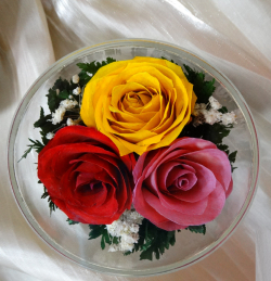 Живые цветы в стекле-129-Сувениры для любимых CuSR5c - фото 1