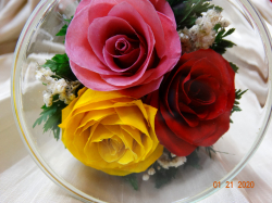 Живые цветы в стекле-129-Сувениры для любимых CuSR5c - фото 2