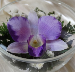 Живые цветы в стекле-129-Цветы в стекле  CuSO - фото 2