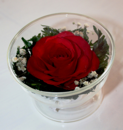 Живые цветы в стекле-129-Сувениры для любимых CuSR - фото 1