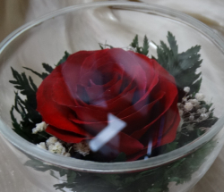 Живые цветы в стекле-129-Сувениры для любимых CuSR - фото 2