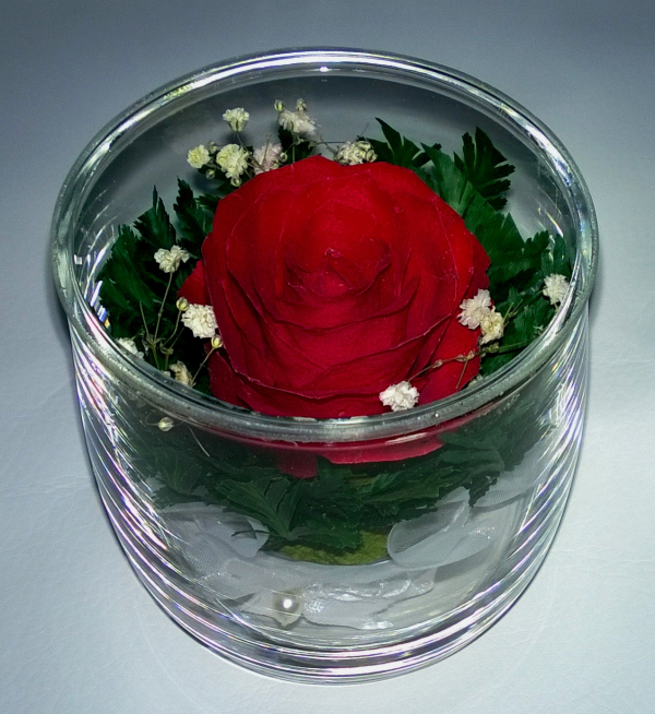 Живые цветы в стекле-129-Вечный цветок  SSR - фото 1